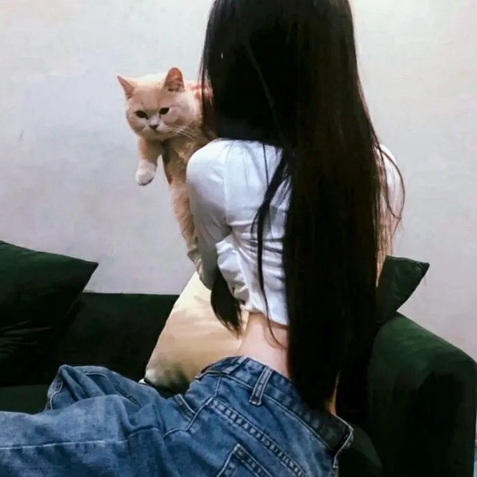 猫汤